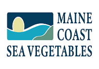 Maine cost sea